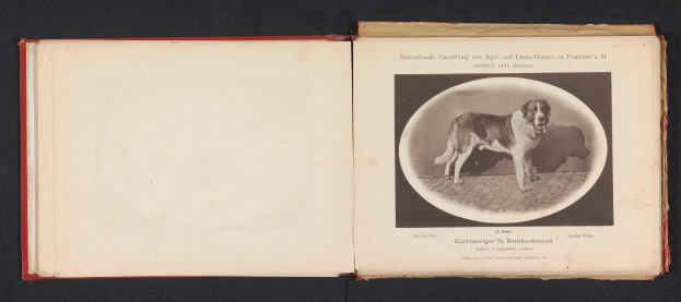 Ein aufgeschlagenes Buch mit dem Titel 'Internationale Ausstellung von Jagd- und Lexus-Hunden in Frankfurt a.M.' mit einem Schwarz-Weiß-Foto eines Hundes und begleitendem Text.