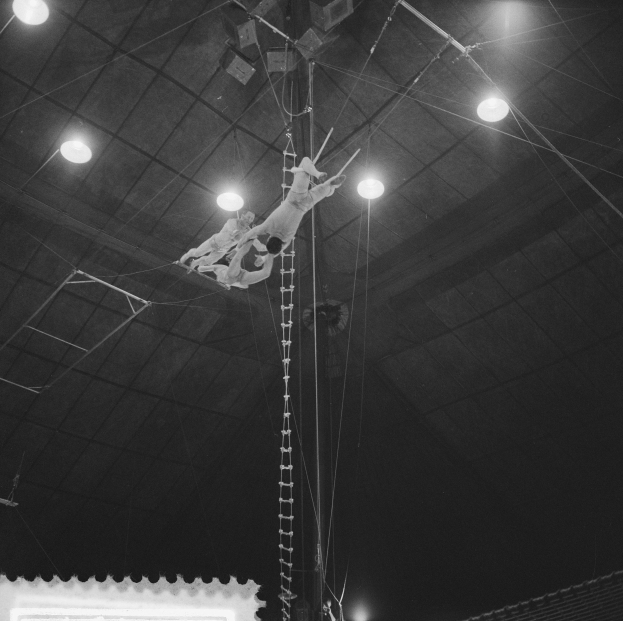 Zwei Akrobaten auf einem Trapez in einem Zirkus, mit Zuschauern und Deckenlampen im Hintergrund.