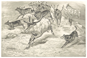 Schwarßtes Bild einer Herde Rentier, die über ein schneebedecktes Feld läuft, mit einem Hund daneben und einem Textüberblatt.