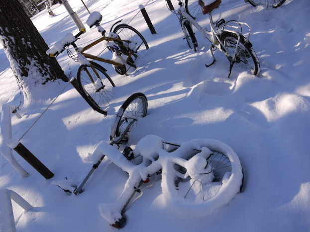 Eine dichte Gruppe von Fahrrädern, teilweise im Schnee begraben, mit einem Baumstamm und Straße daneben.