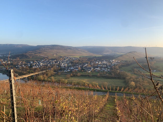 Eine malerische Aussicht auf das Rheintal von einem Hügel aus, mit grünem Laub, Häusern und einer Brücke, die den Fluss überspannt, vor einem blauen Himmel mit rollenden Hügeln im Hintergrund.