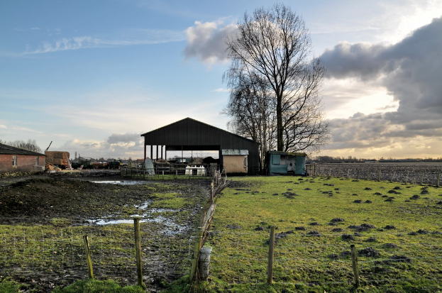 Eine Wiesenlandschaft mit einem Schuppen in der Mitte, Bäumen daneben und Häusern im Hintergrund, getrennt durch eine Begrenzung unten.