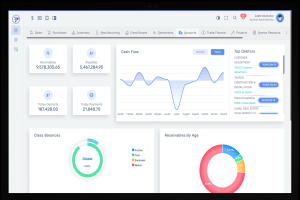 Ein Laptop-Bildschirm, der ein Finanzmanagement-Dashboard mit Diagrammen und Text auf einem weißen Hintergrund mit einem blauen Kopfteil anzeigt.