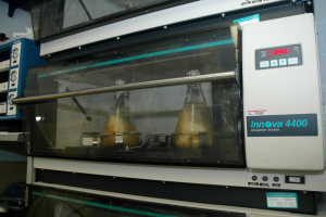 Laborbrutschrank mit Glastür, Seitengriff, Bedienfeld und Digitalanzeige, umgeben von anderer Laborausrüstung an einer Wand.