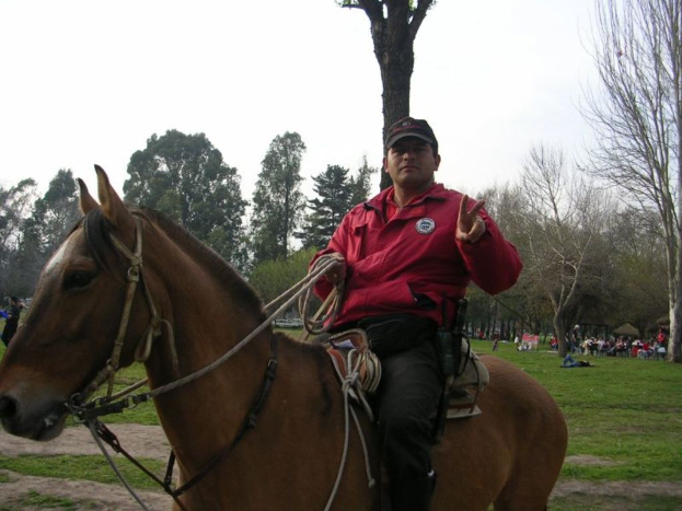 Eine Person, die ein Pferd in einem grasigen Bereich mit Bäumen und anderen Menschen im Hintergrund reitet.