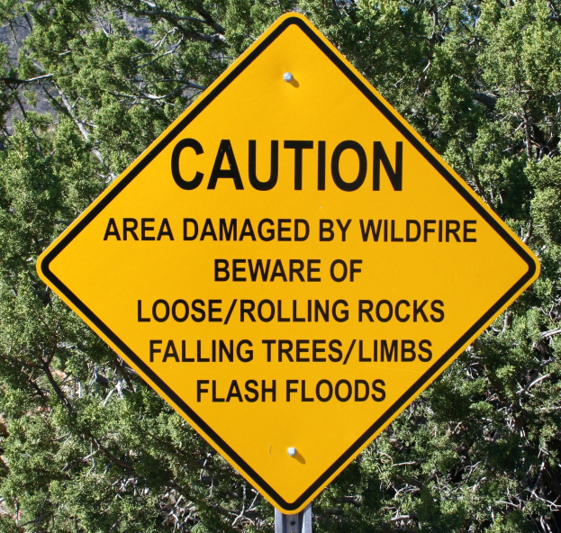 Gelbes Warnschild an einem Pfahl im Vordergrund, das vor Wildschäden, lockeren Steinen, umstürzenden Bäumen und Überschwemmungen warnt, mit Bäumen im Hintergrund.