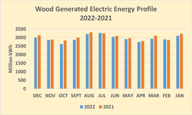 Liniengraph, der den Holz-generierten elektrischen Energieverlauf von 2021 bis 2022 zeigt, mit begleitendem Erklärungstext.