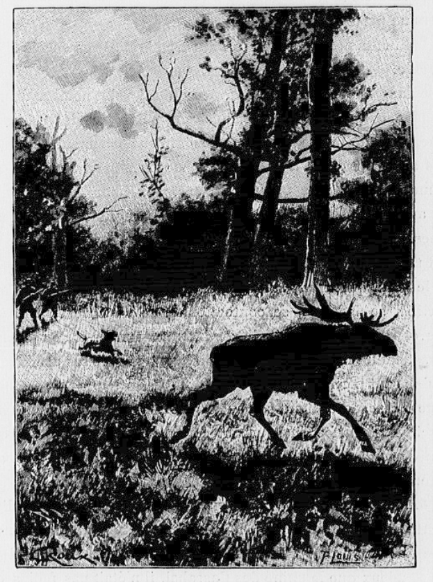 Ein Schwarz-Weiß-Foto eines durch einen bewaldeten Bereich laufenden Elchs mit Bäumen im Hintergrund und Text unten.