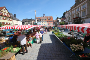 Ein belebter Markt im Heidelberger Altstadt mit Menschen, die gehen, sitzen und stehen, sowie Zelten, Tischen mit Körben voller Gemüse und Gebäuden mit Fenstern im Hintergrund unter einem klaren blauen Himmel.