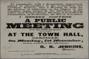 Eine Ankündigung für eine öffentliche Versammlung im Rathaus von Cardigan am Montag, den 1. November 1858, mit Textdetails zum Ereignis.
