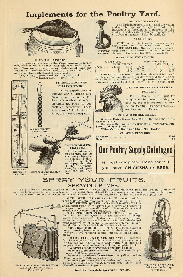 Eine alte Werbung für einen Geflügelhof mit Text und bunten Bildern verschiedener Geflügelprodukte sowie Informationen zu Zutaten, Preisen und Anwendungsanweisungen in fetter Schrift.
