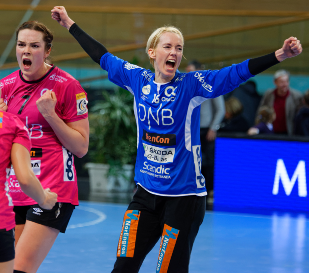 Eine Gruppe von Frauen, die auf einem Handballfeld spielen, mit einem Banner, einem Topf mit einer Pflanze und einigen Zuschauern auf den Rängen, mit einem unscharfen Hintergrund, der Bewegung suggeriert.