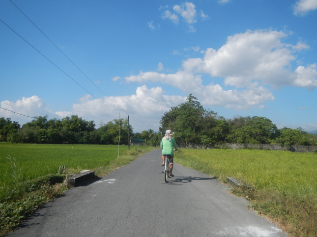 Ein Radfahrer mit Helm fährt auf einer Straße mit Grünzeug, Bäumen, Strommästen und einer Wand im Hintergrund bei bewölktem Himmel.