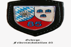 Ein Abzeichen mit der Nummer 85, das die bayerische Fussballmannschaft repräsentiert, mit deutschem Text unten.