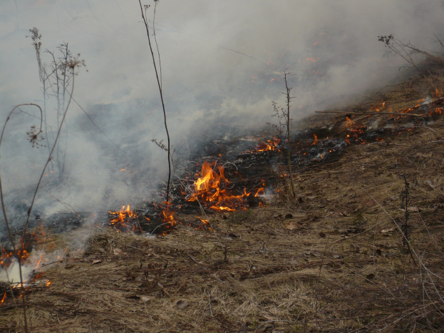 Verschriebener Brand in einem Grasfeld mit aufsteigendem Rauch.