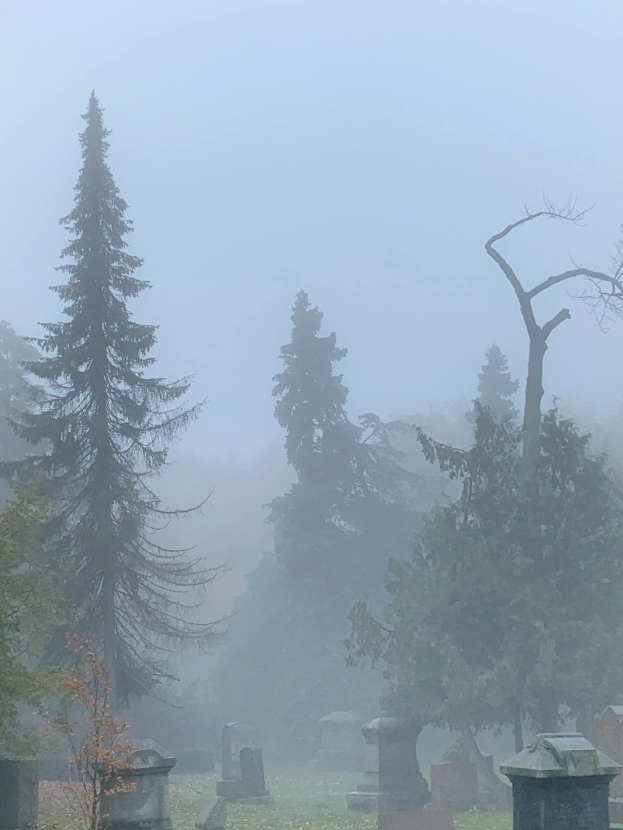 Nebliges Friedhof mit ein paar Grabsteinen und Bäumen im Hintergrund unter einem nebligen grauen Himmel.