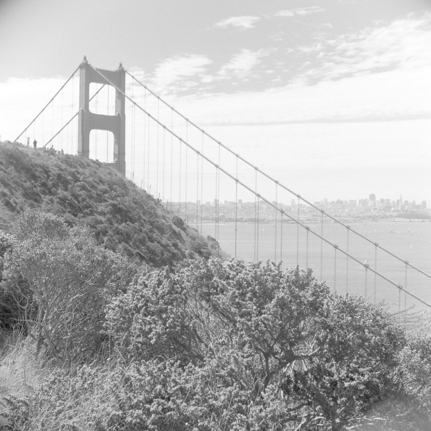 Bäume und eine Brücke mit Wasser auf der rechten Seite, unter einem Himmel.