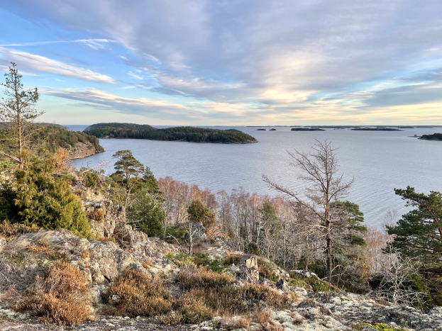 Panoramischer Blick von einem Hügel auf einen See, mit Bäumen, Pflanzen und Felsen im Vordergrund und einem bewölkten Himmel im Hintergrund.
