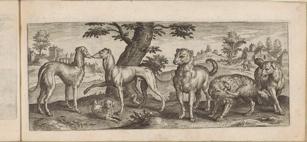 Eine Gruppe von Windhunden, die in einem bewaldeten Gebiet mit Bäumen, Pflanzen und Häusern im Hintergrund steht, dargestellt in einem Zeichenstil.