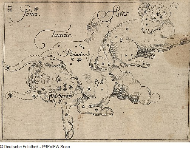 Eine Zeichnung eines Löwen und eines Tierkreiszeichens auf einem Blatt Papier, mit Text zur Beschreibung der Tierkreiszeichen.