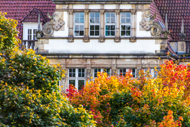 Ein Gebäude mit Wänden, Fenstern, Verzierungen, einem Dach und einem Geländer steht im Hintergrund, mit ein paar Bäumen mit Blättern, Stämmen und Zweigen am unteren Bildrand.