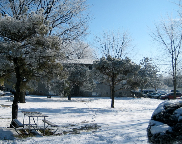 Ein schneebedeckter Boden mit einer hölzernen Bank und Bäumen im Mittelgrund und ein Holzhäuschen mit Dachziegeln und parkenden Autos im Hintergrund.
