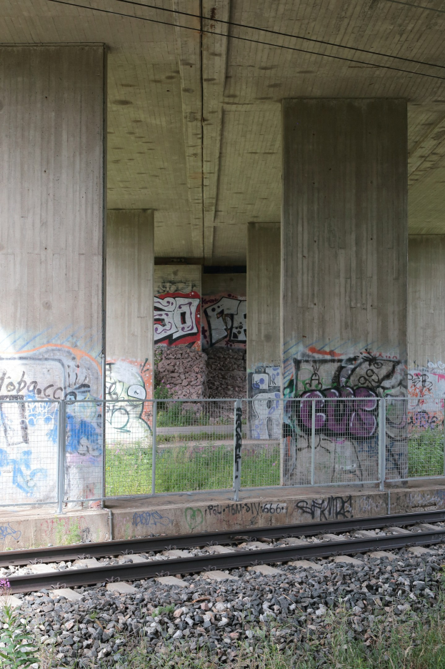 Eisenbahnschiene mit Graffiti an der Seite, von Steinen, Gras, einem Zaun, Pfeilern, Überleitungen und einem Dach umgeben.