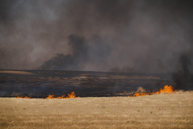 Ein Feld mit einem brennenden Feuer in der Mitte, umgeben von Gras und Rauch, der in den Himmel aufsteigt.