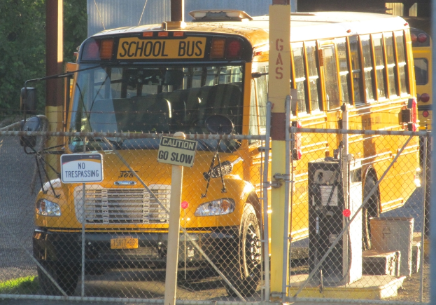 Mehrere Busse fahren auf einer Straße im Hintergrund, mit einem Zaun, Pfählen mit Schildern, einem Baum, Gras und einer Straße im Vordergrund.