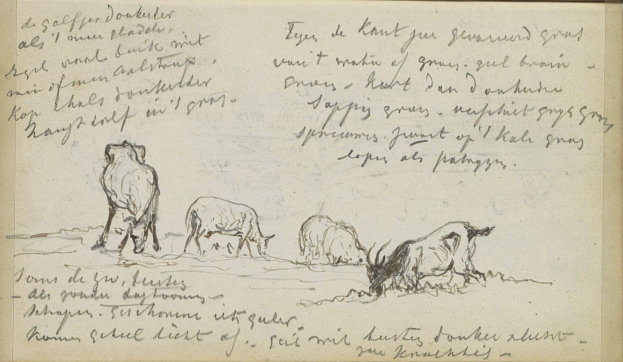 Ein Buchumschlag mit einer detaillierten Zeichnung einer Herde grasender Rinder in einem Feld, mit Text in einer Kursivschrift.