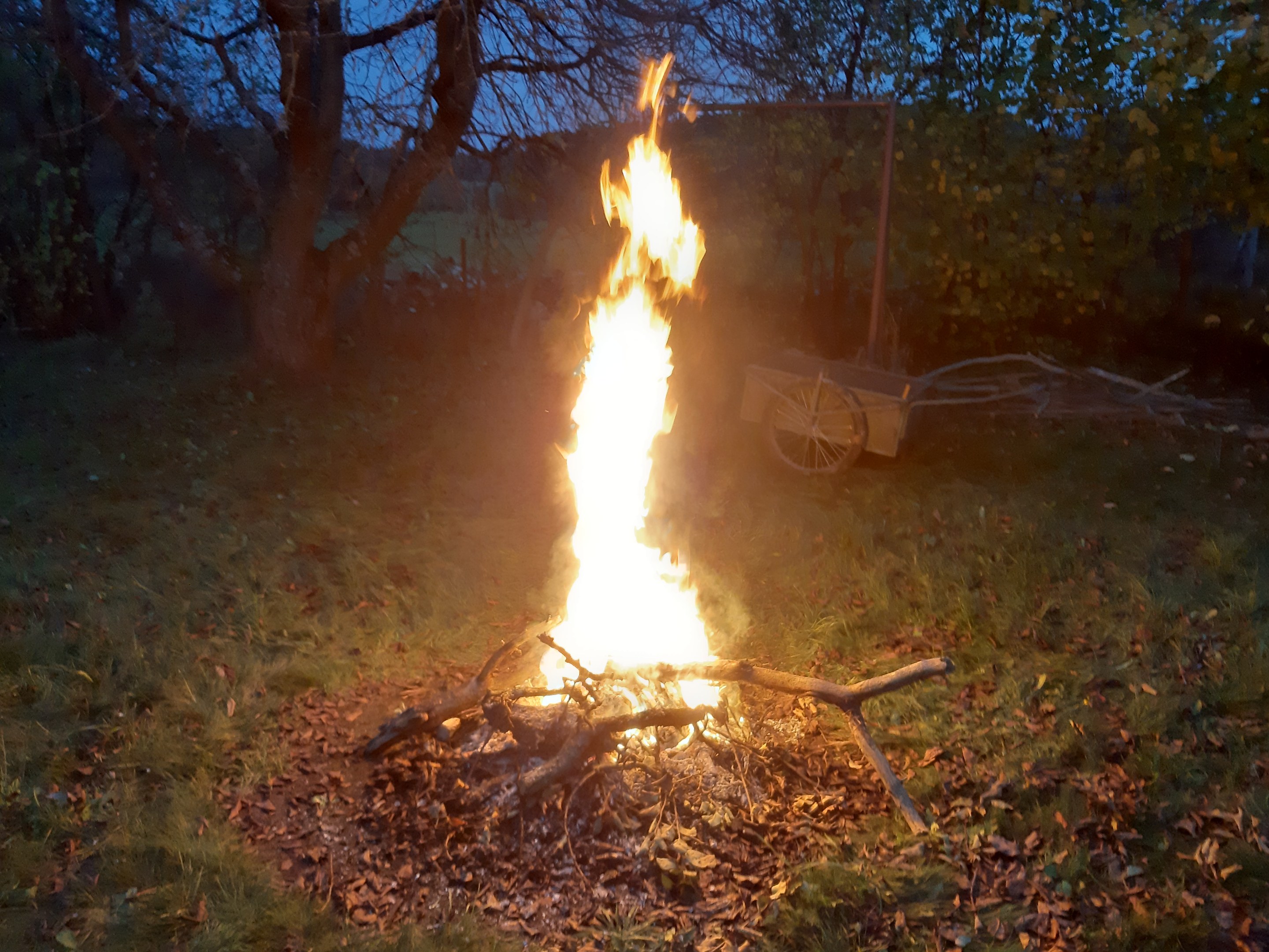 Feuer in einer grasbewachsenen Wiese in der Nacht, umgeben von trockenen Blättern und Stöcken, mit Bäumen und einem Wagen im Hintergrund unter dem Himmel.