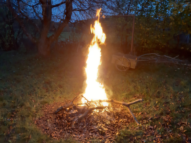 Feuer in einer grasbewachsenen Wiese in der Nacht, umgeben von trockenen Blättern und Stöcken, mit Bäumen und einem Wagen im Hintergrund unter dem Himmel.