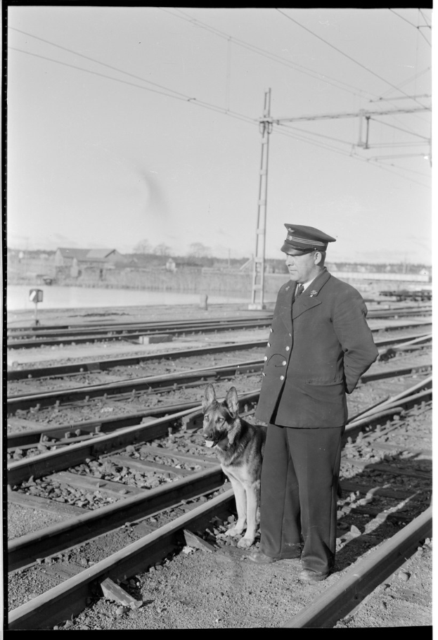 Schwarzes und weißes Bild eines uniformierten Mannes mit Mütze neben einem Hund auf einem Bahngleis, mit Strommasten und Bäumen im Hintergrund unter einem klaren Himmel.