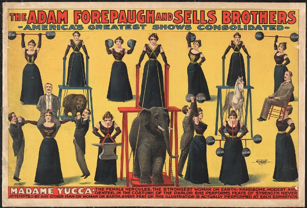 Plakat für "Adam Forepaugh und Sells Brothers, Americas Greatest Shows Consolidated" mit einer Gruppe von Menschen auf Hockern und einem Elefanten in der Mitte, einige halten Gegenstände und Text.